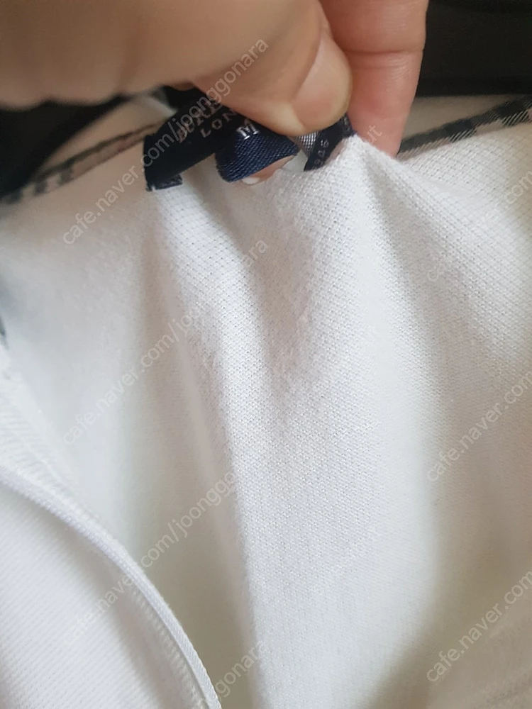 버버리 보티첼리 미쏘니 갭 피케셔츠 이미지