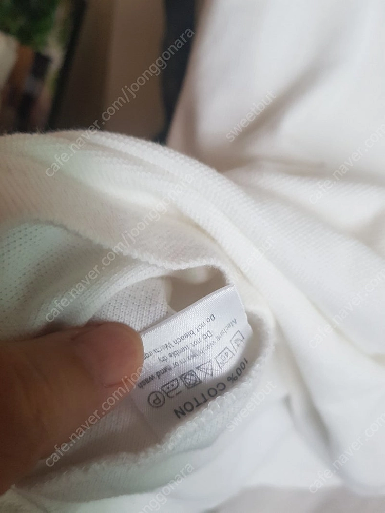 버버리 보티첼리 미쏘니 갭 피케셔츠 이미지