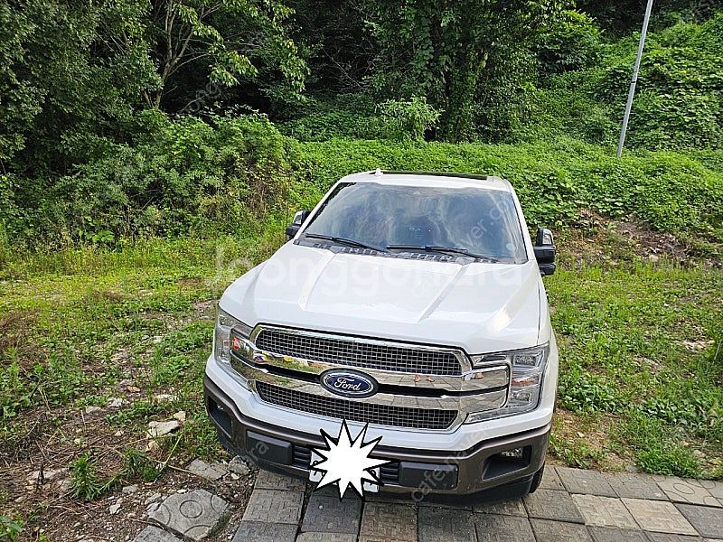 포드 f150--3