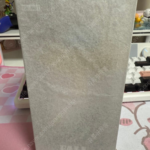 봄에 피는 라부부 정품