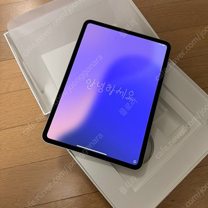 iPad Pro 11 Wi-Fi 256GB 스탠다드 글래스 모델 - 실버 150