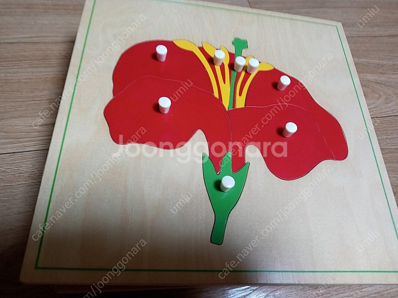 아가월드 몬테소리 니엔후이스 동식물퍼즐--3