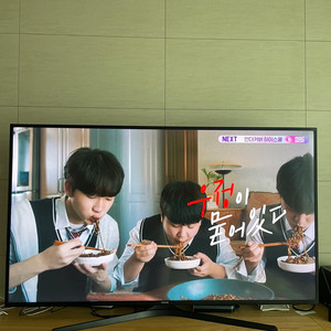 삼성 TV 65인치