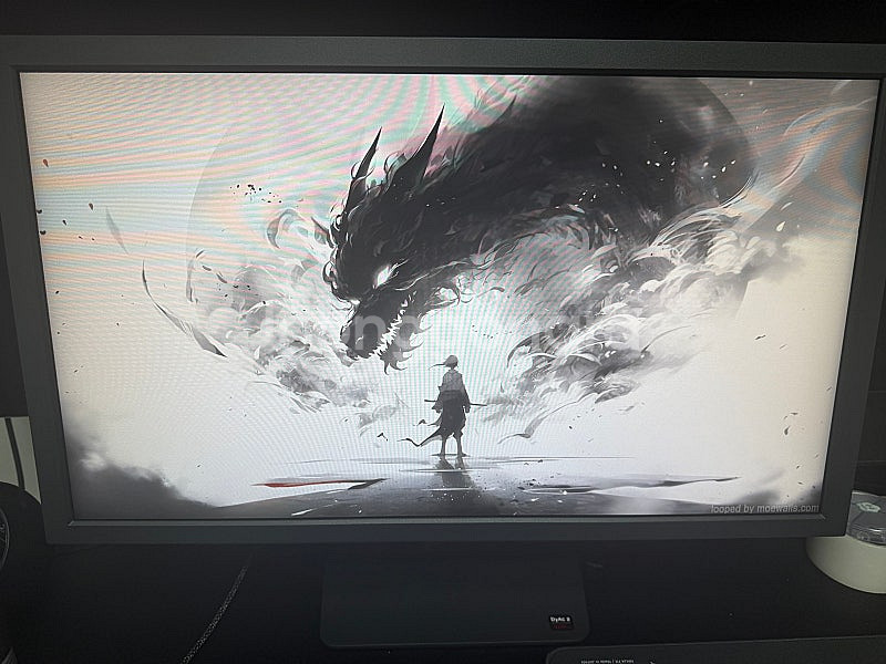 벤큐400HZ ZOWIE XL2566X+--0