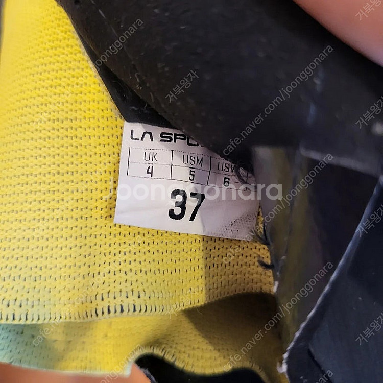 띠어리 eu 37 라스포르티바--8