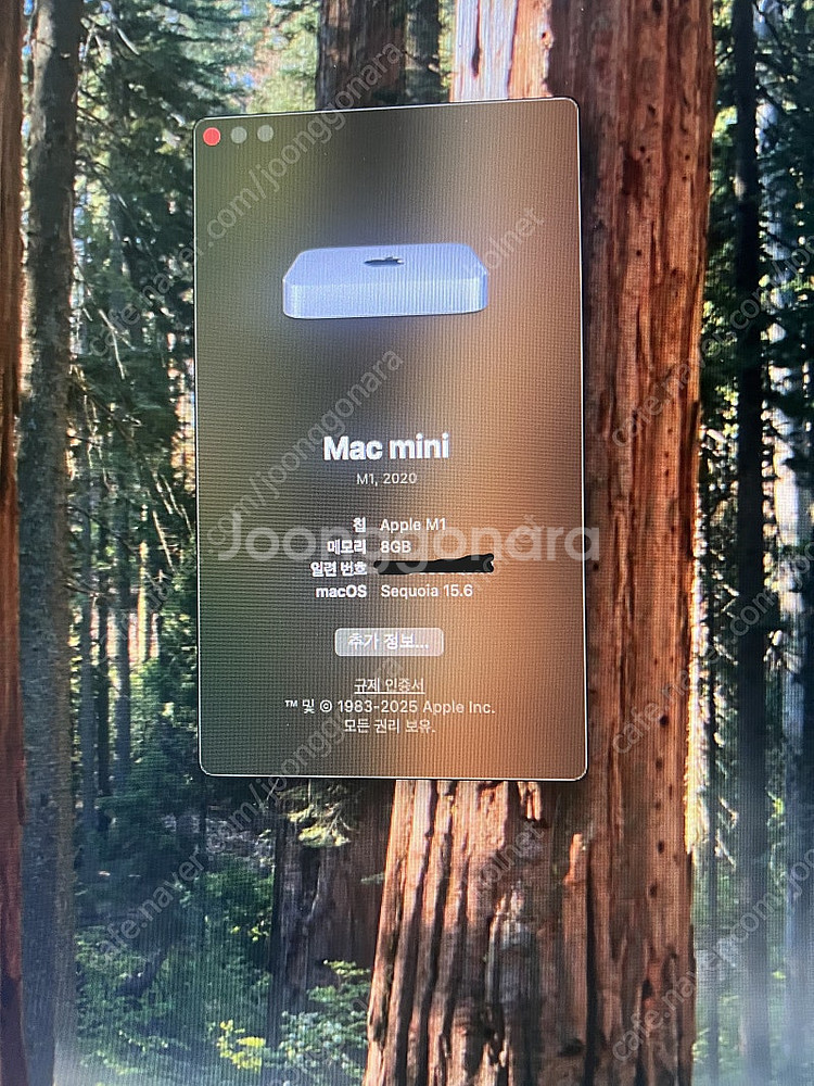 M1 맥미니 8GB 256GB 2020년형 급처!--2