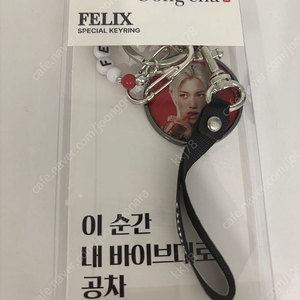 공차 필릭스 키링