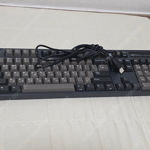 레오폴드 FC900R PD 그라파이트 한글 갈축 (유선) 판매합니다