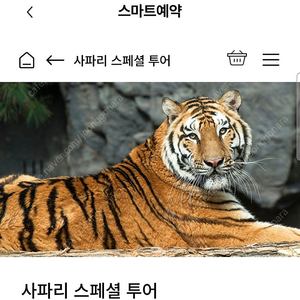 에버랜드 8월달 사파리스페셜투어