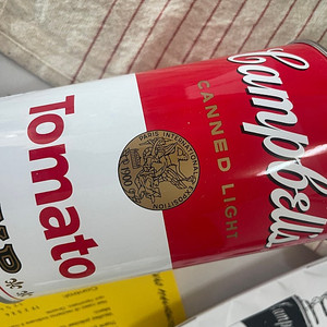 잉고 마우러 최화정 조명 canned light