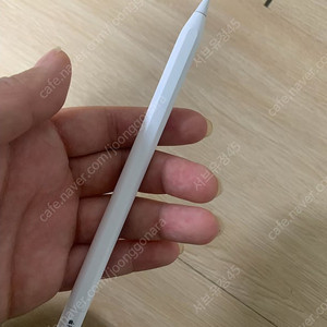 애플펜슬 C타입 급처 S급