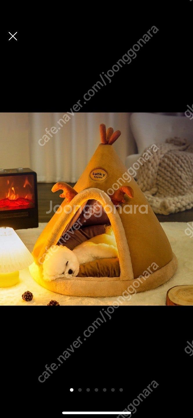 강아지 고양이 집 새상품--0