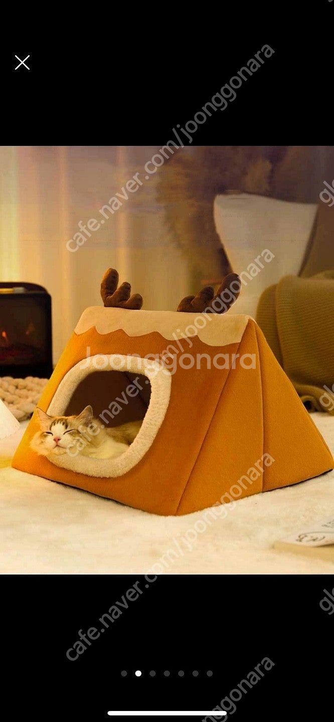 강아지 고양이 집 새상품--1