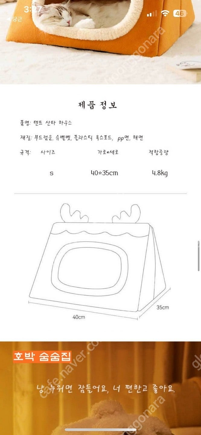 강아지 고양이 집 새상품--3