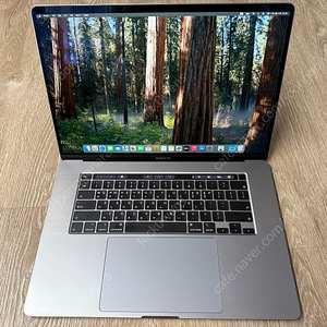 맥북프로 16인치 2019 (i9 2.4G / 32GB / 1TB SSD)