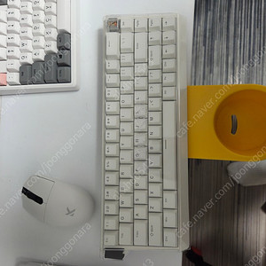 mchose ace68(코뿔소축)