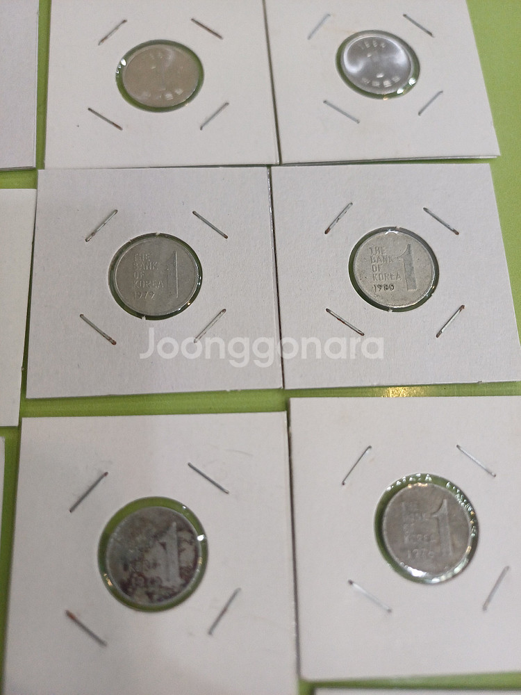 [분양 /주화] 주화 줄세우기,1주.5주.10주.50주...--4