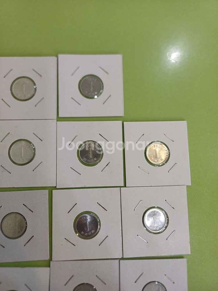 [분양 /주화] 주화 줄세우기,1주.5주.10주.50주...--6