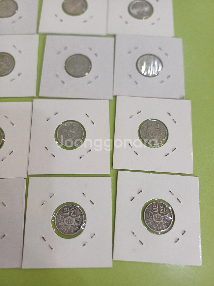 [분양 /주화] 주화 줄세우기,1주.5주.10주.50주...--8