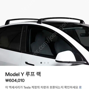 테슬라 모델y 루프랙 (주니퍼호환)