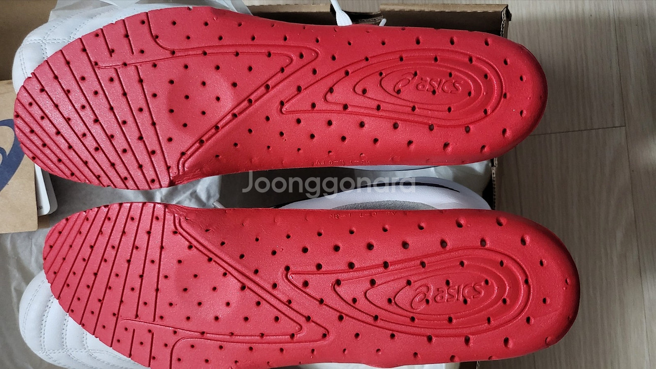 [260mm] 아식스 DS LIGHT X-FLY 프로--3