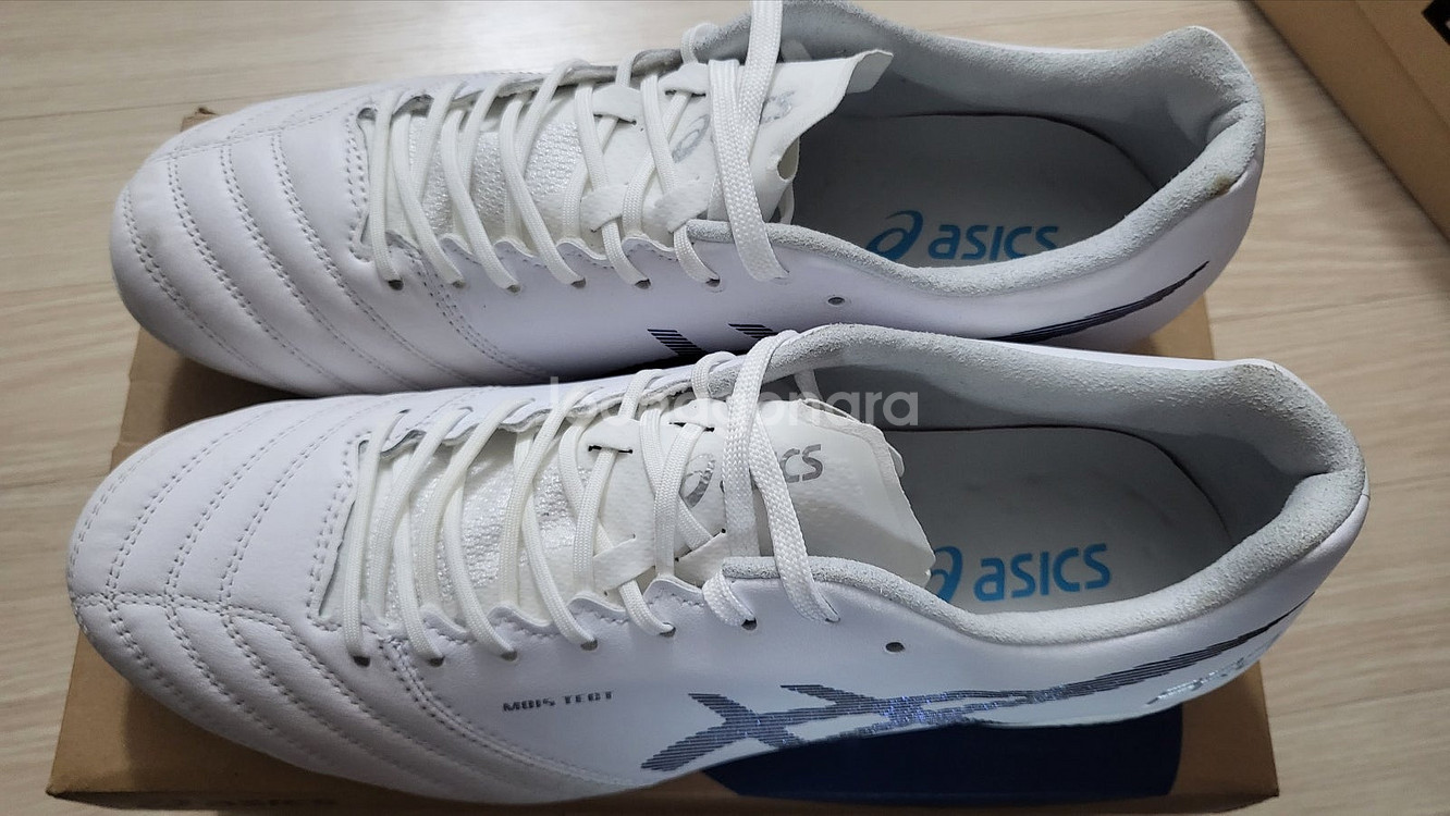 [260mm] 아식스 DS LIGHT X-FLY 프로--4