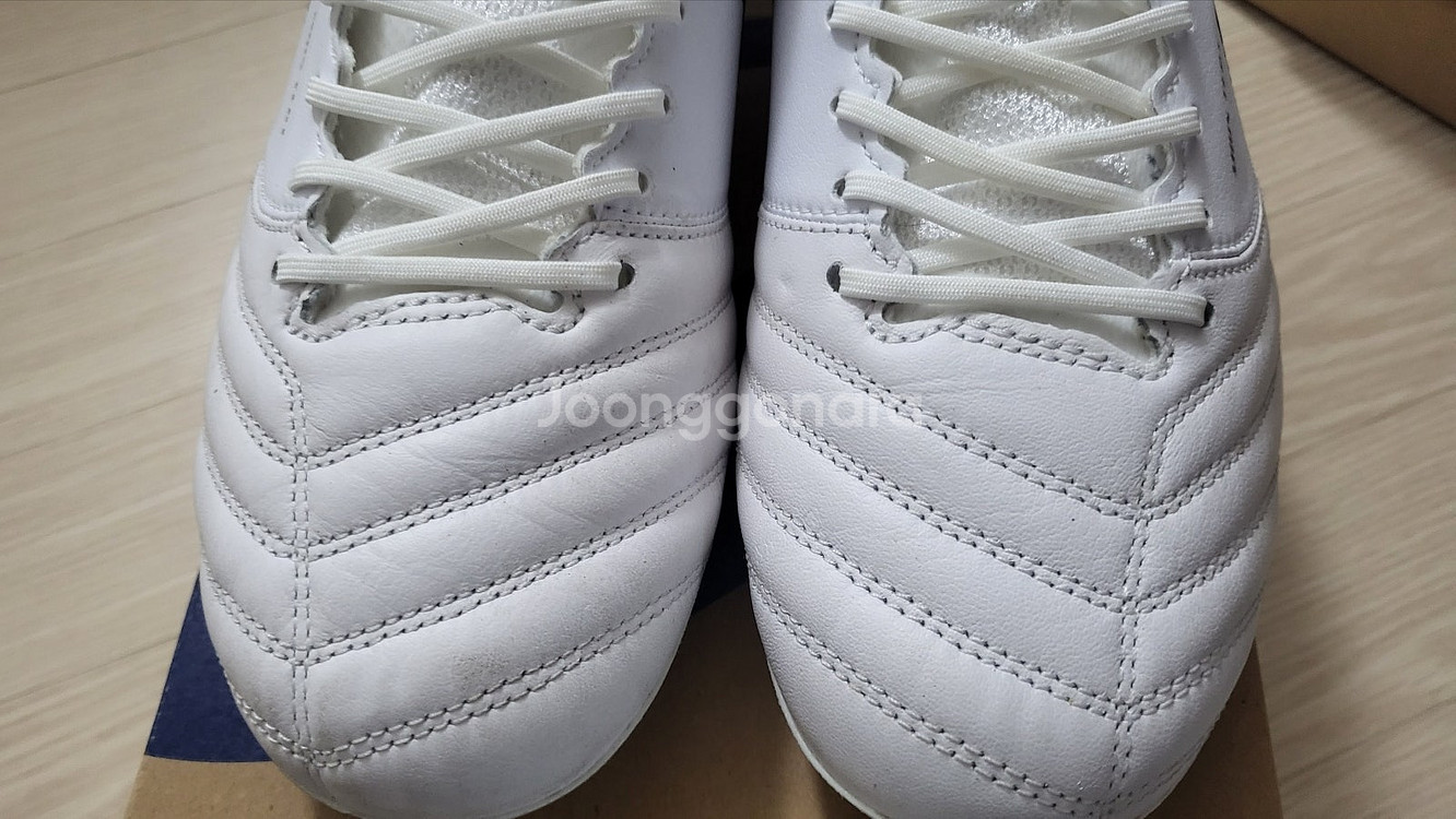 [260mm] 아식스 DS LIGHT X-FLY 프로--5