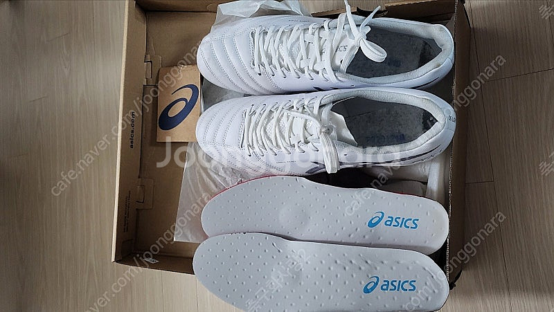 [260mm] 아식스 DS LIGHT X-FLY 프로--0