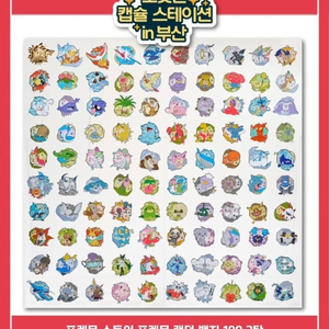 포켓몬 랜덤 뱃지 2탄 가이오가 부산