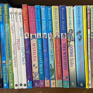 영어원서 MAGIC TREE HOUSE , 로알드달, 뉴베리수상작
