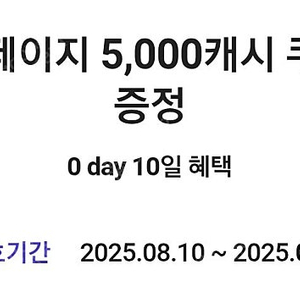 카카오페이지 5천 캐시 쿠폰 1장