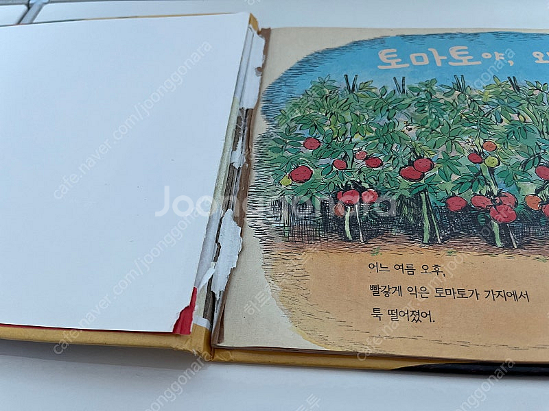 비룡소 사각사각 24권--3