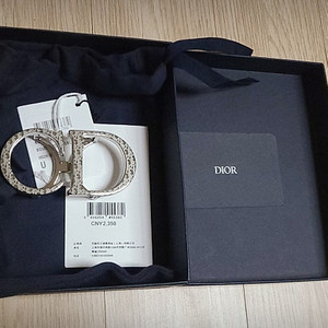 디올 Dior 팔라듐 벨트 버클