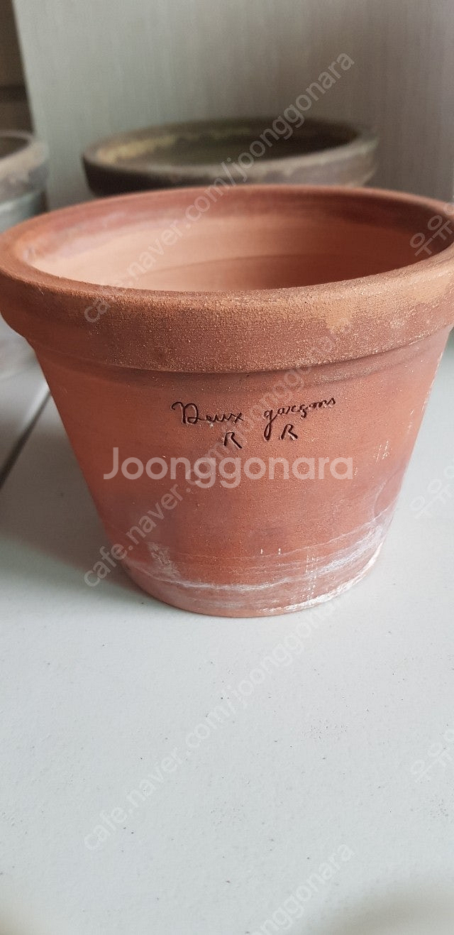 두갸르송--1