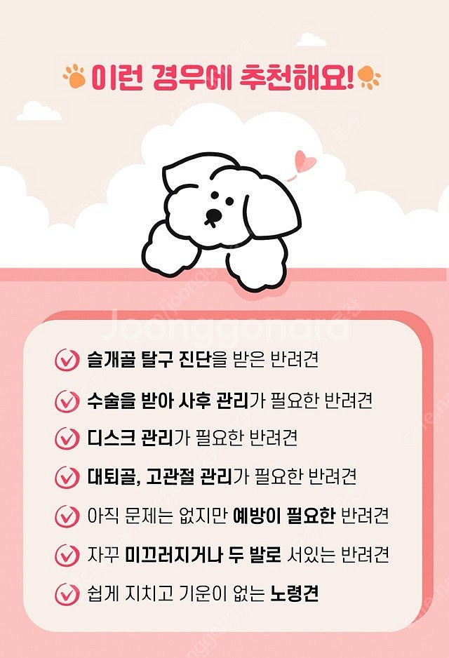 [새제품] 시리어스펫 따땃패드 (슬개골 디스크 강아지 ...--3
