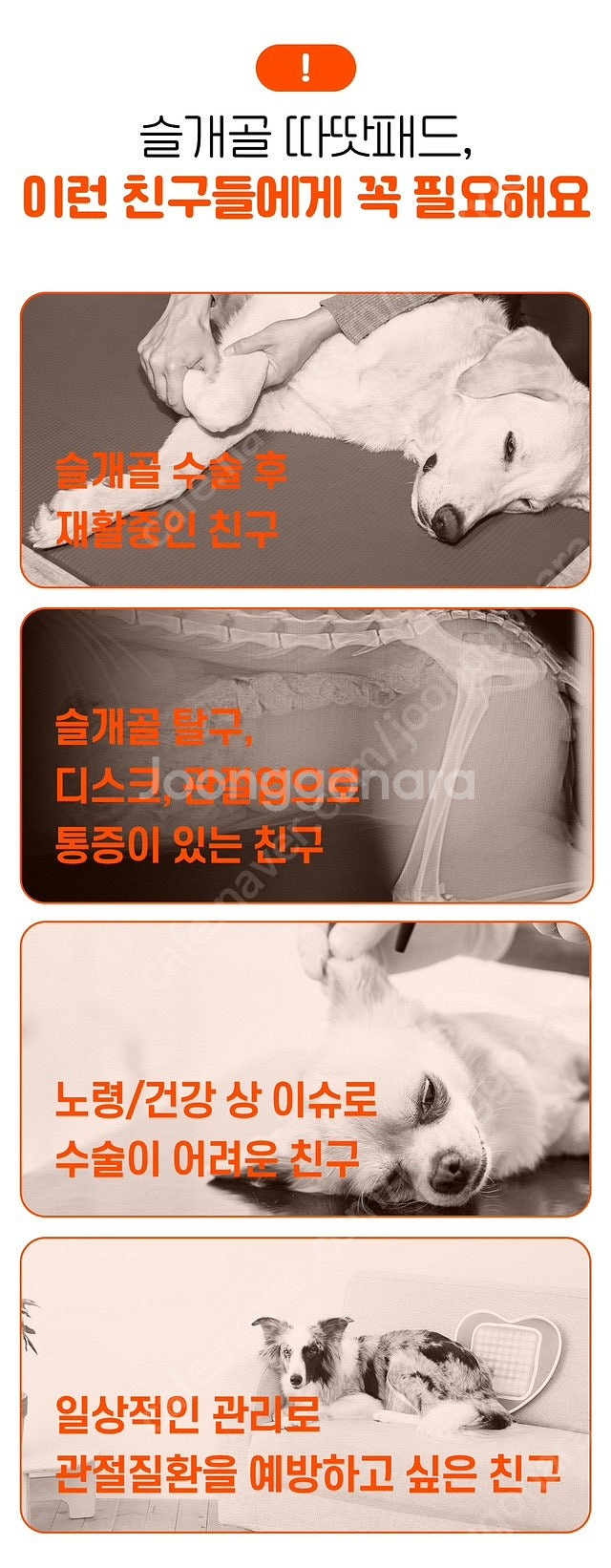 [새제품] 시리어스펫 따땃패드 (슬개골 디스크 강아지 ...--7