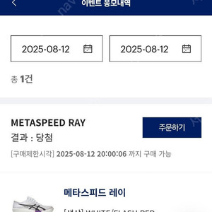 아식스 메타스피드 레이 260