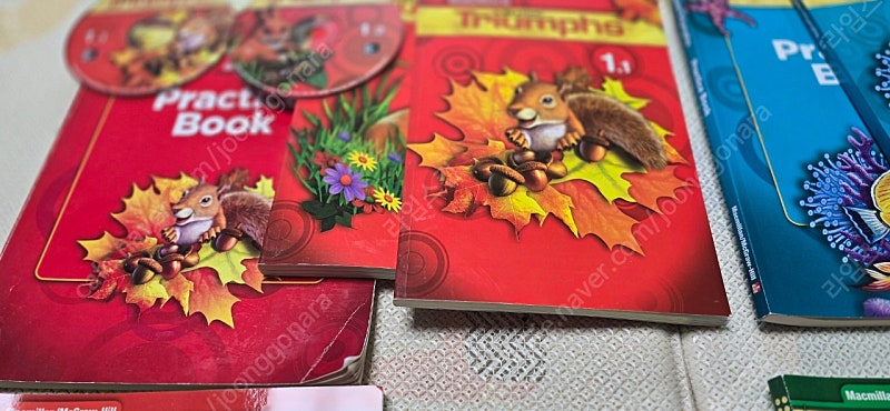 리딩 트라이엄프 READING Triumphs 이미지