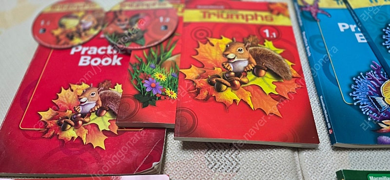 리딩 트라이엄프 READING Triumphs 이미지