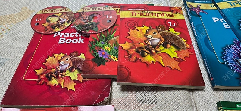 리딩 트라이엄프 READING Triumphs 이미지