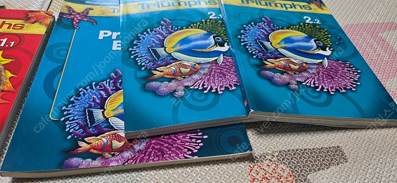 리딩 트라이엄프 READING Triumphs 이미지