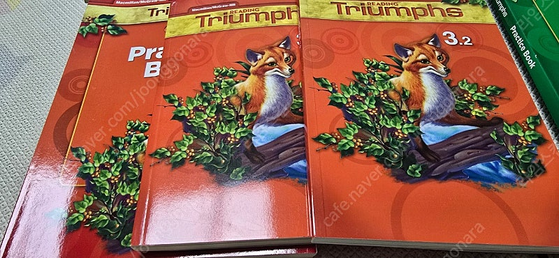 리딩 트라이엄프 READING Triumphs 이미지