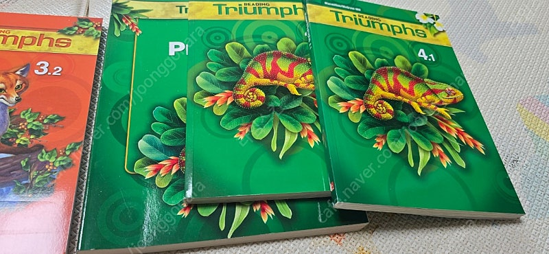 리딩 트라이엄프 READING Triumphs 이미지