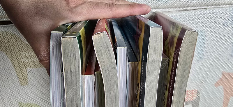 리딩 트라이엄프 READING Triumphs 이미지