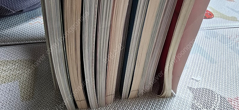 리딩 트라이엄프 READING Triumphs 이미지