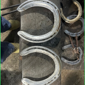 행운의 말편지 경주마 편자 풍수지리 금전운