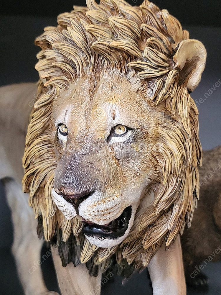 오카멜 킨키테일 1:6 사자--0