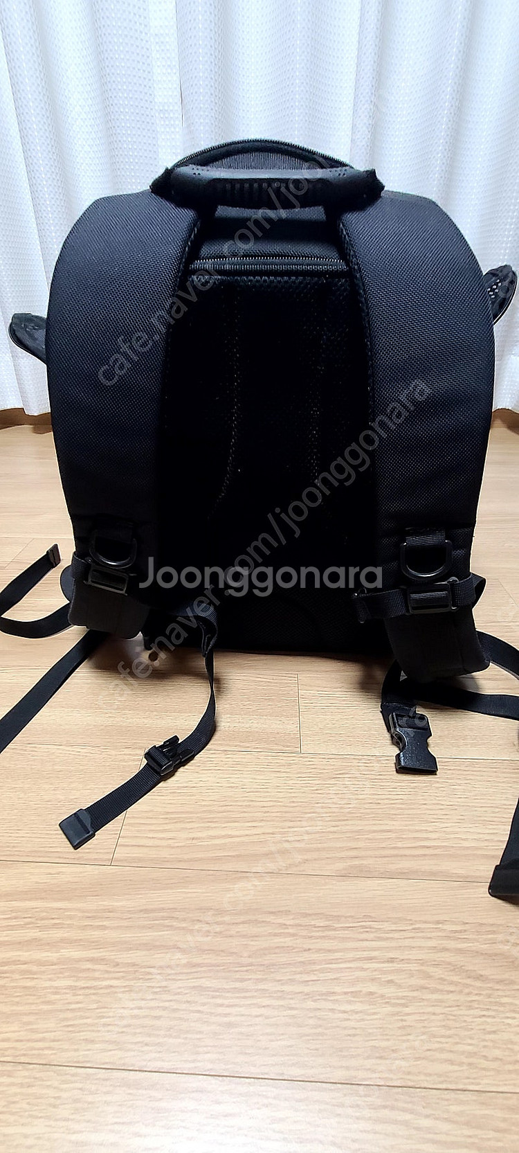 심플리펫 강아지 백팩 LG사이즈 블랙 색상 팝니다.--3