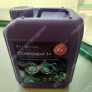 서울 아포 도징액 오펙바 거치대 마코 스키머 산소기 싱글탭 도징기 프랙거치대