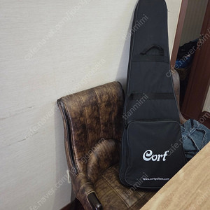 cort 기타